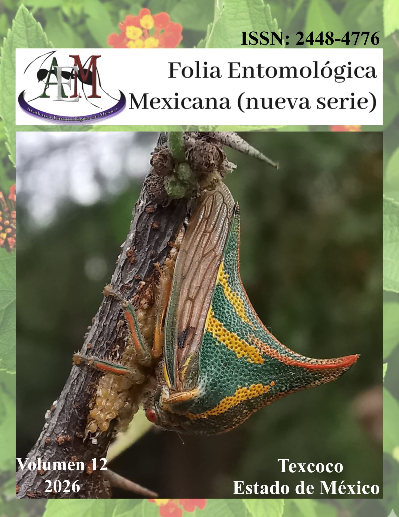 Folia Entomológica Mexicana (NS)