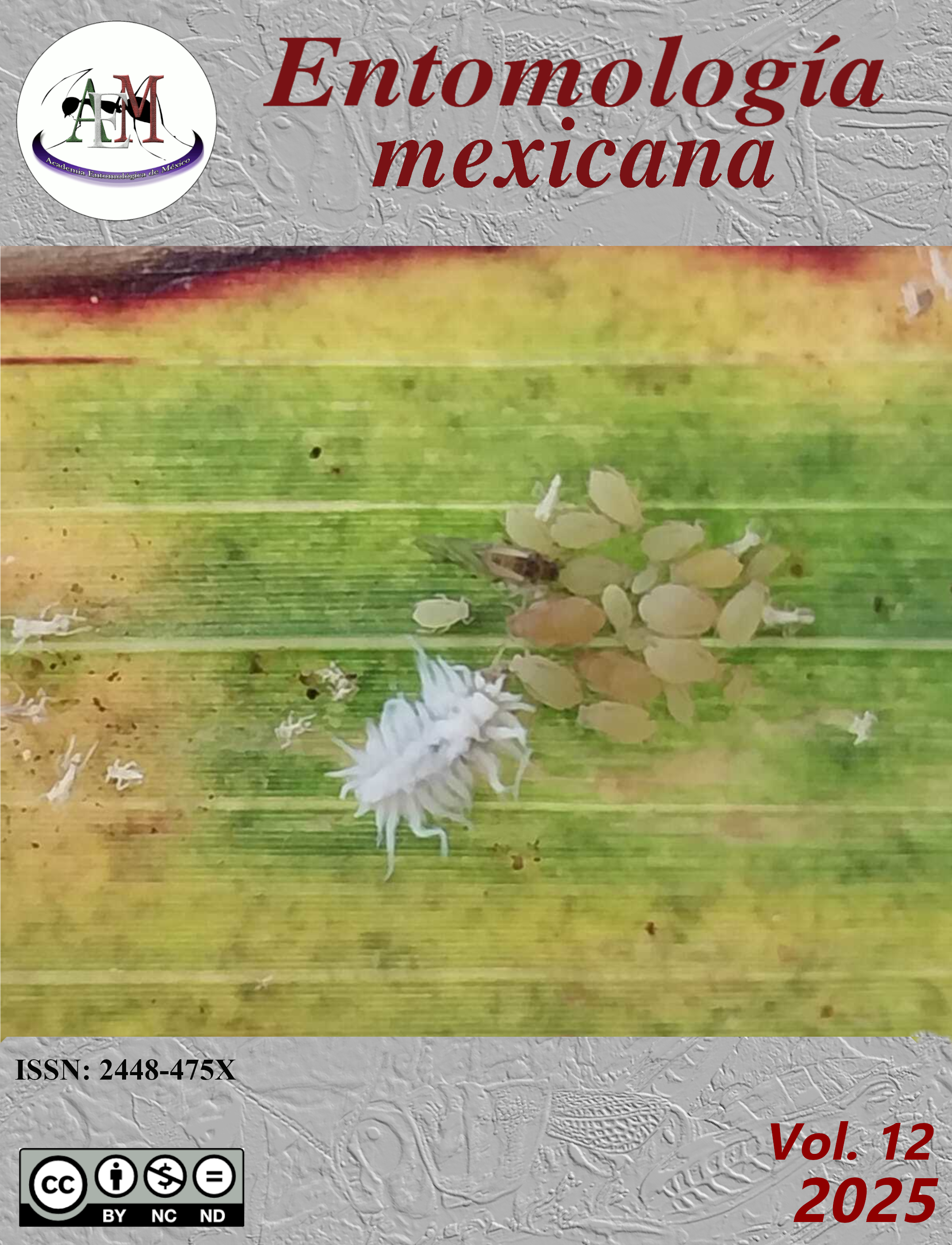 Depredador y presa, 2024 (Cortesía de: Jazmín Garza Sánchez).